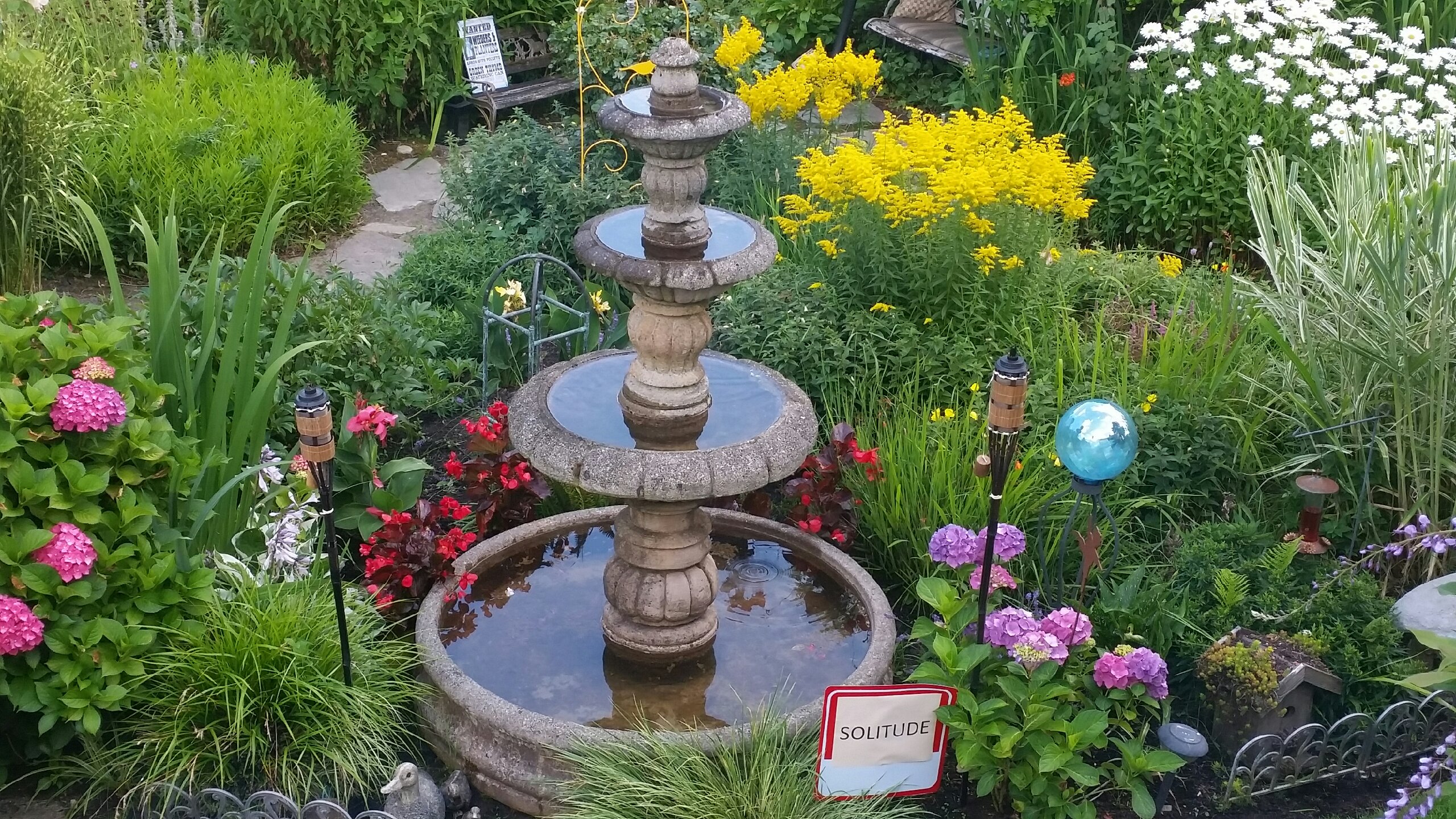 Wachsmuth Garden